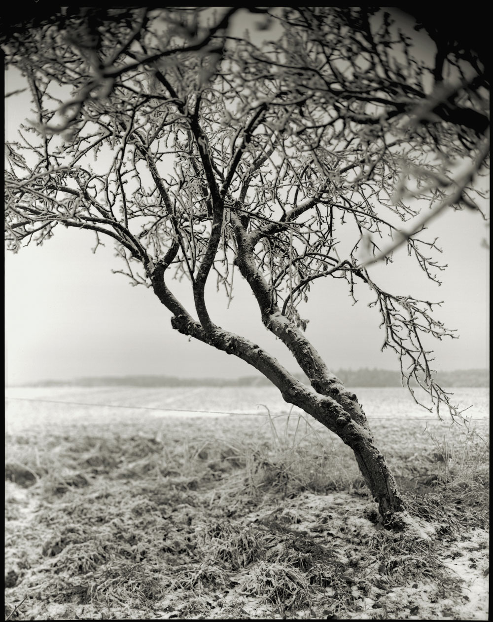 Joachim Manuel Riederer, 20 C Baltringen Germany 2007